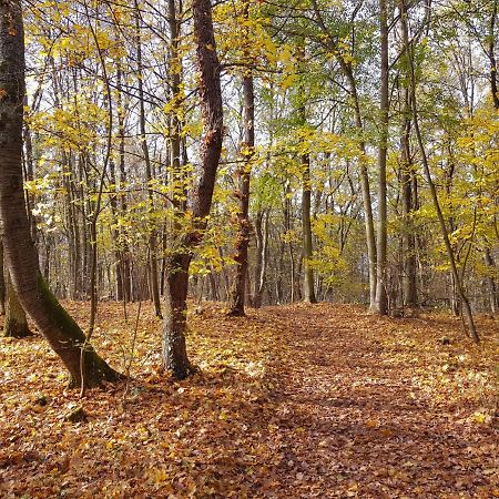 Gemuetliche Ferienwohnung Am Ortsrand Kreuzwertheim Екстериор снимка